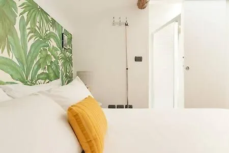 Ripa43 *